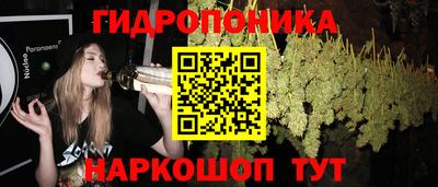 молекула духа Кинель