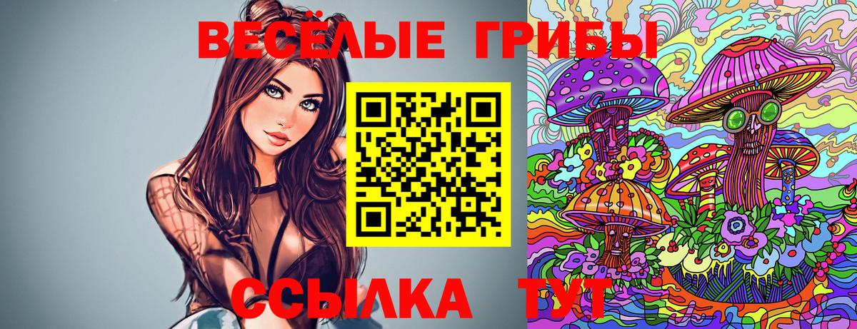 Екатеринбург  Псилоцибиновые грибы Psilocybine cubensis  Вход с VPN  Псилоцибиновые грибы прущие грибы 